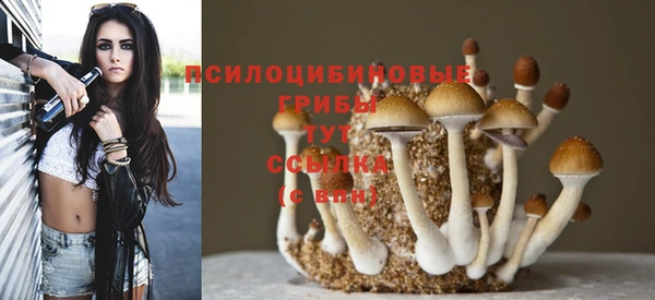 прущий лед Пролетарск