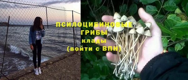 прущий лед Пролетарск