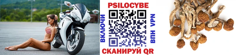 blacksprut   Щёлкино  Галлюциногенные грибы мухоморы 